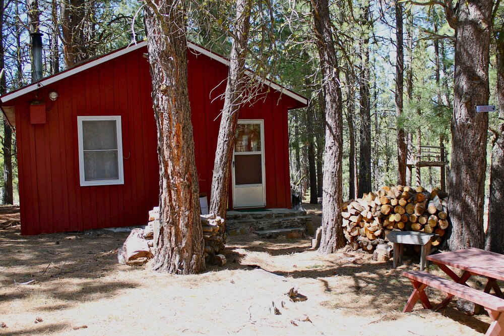 Rustic Cabin-"Squirrelville"