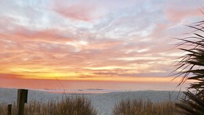 A beach path leading to the ocean with tall grasses on either side.