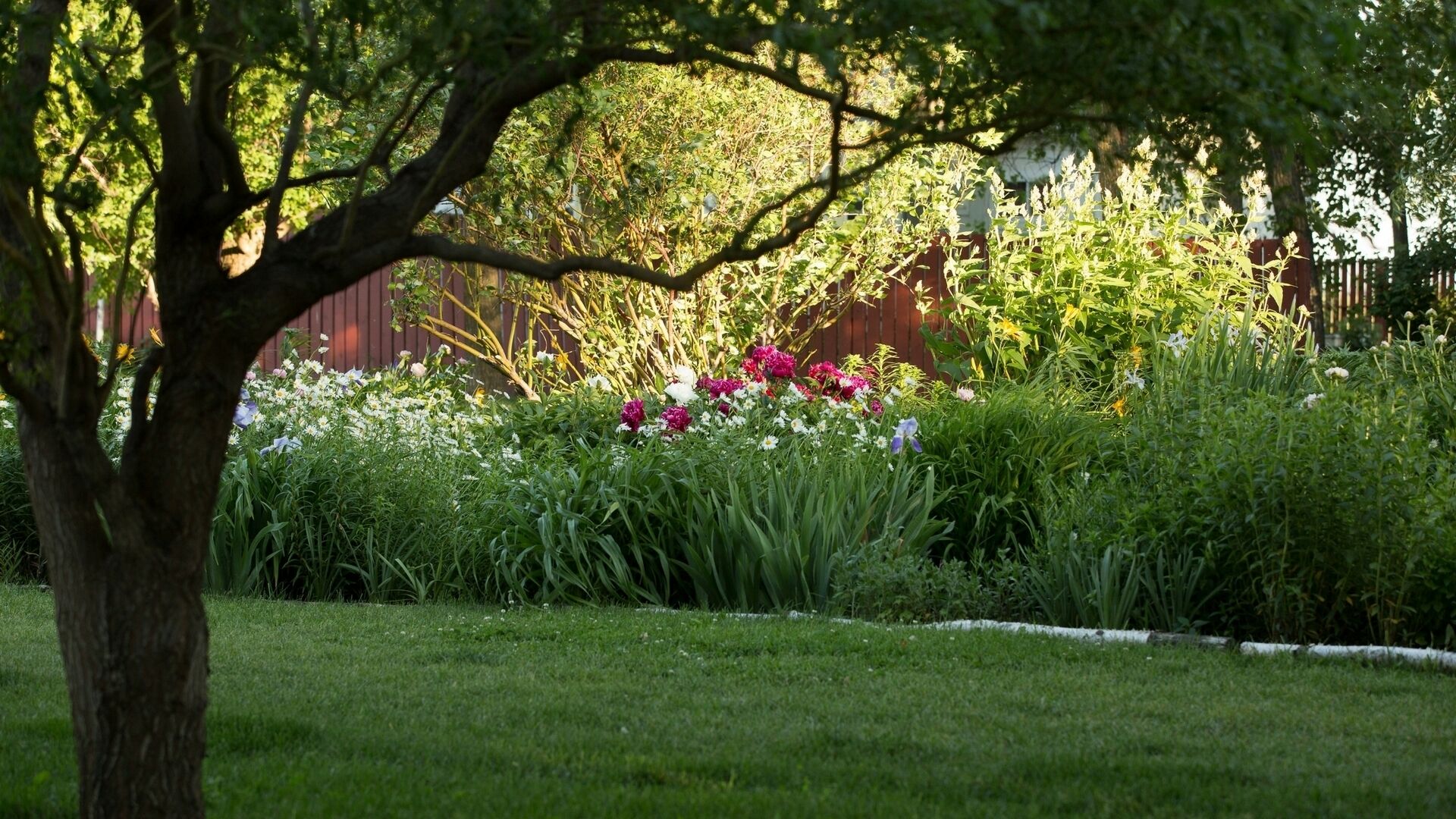 A garden with a variety of flowers and greenery, a tree in the foreground, and a wooden fence in the background.