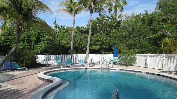 A swimming pool with a curved edge, surrounded by palm trees and a white fence.