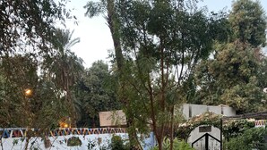 Front of property - The Mango Guesthouse (Aswan)
