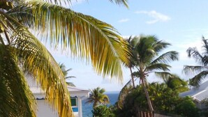 A narrow street with a white building on the left, palm trees, and a view of the ocean. - Marco Polo (Saint-François)
