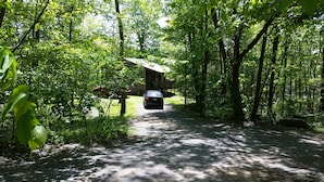 A forested area with a paved path leading to a wooden cabin.
