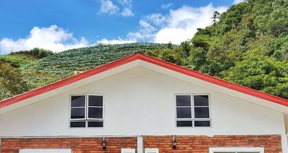Anga's Guest House