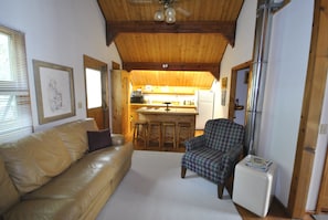 TV, DVD player - Traverse City Lake Michigan priv Beachfront Home Rent (Kewadin)