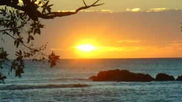 En la playa y camastros