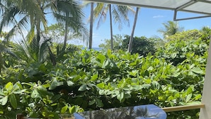 Uma varanda com mesa de vidro e cadeiras de madeira, com vista para vegetação exuberante e um céu azul límpido.