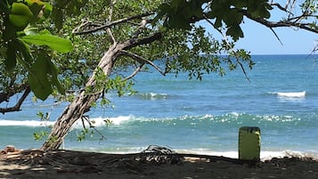 En la playa y camastros