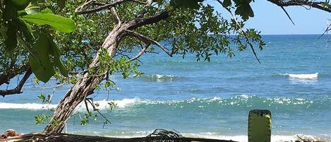 Plage, chaises longues