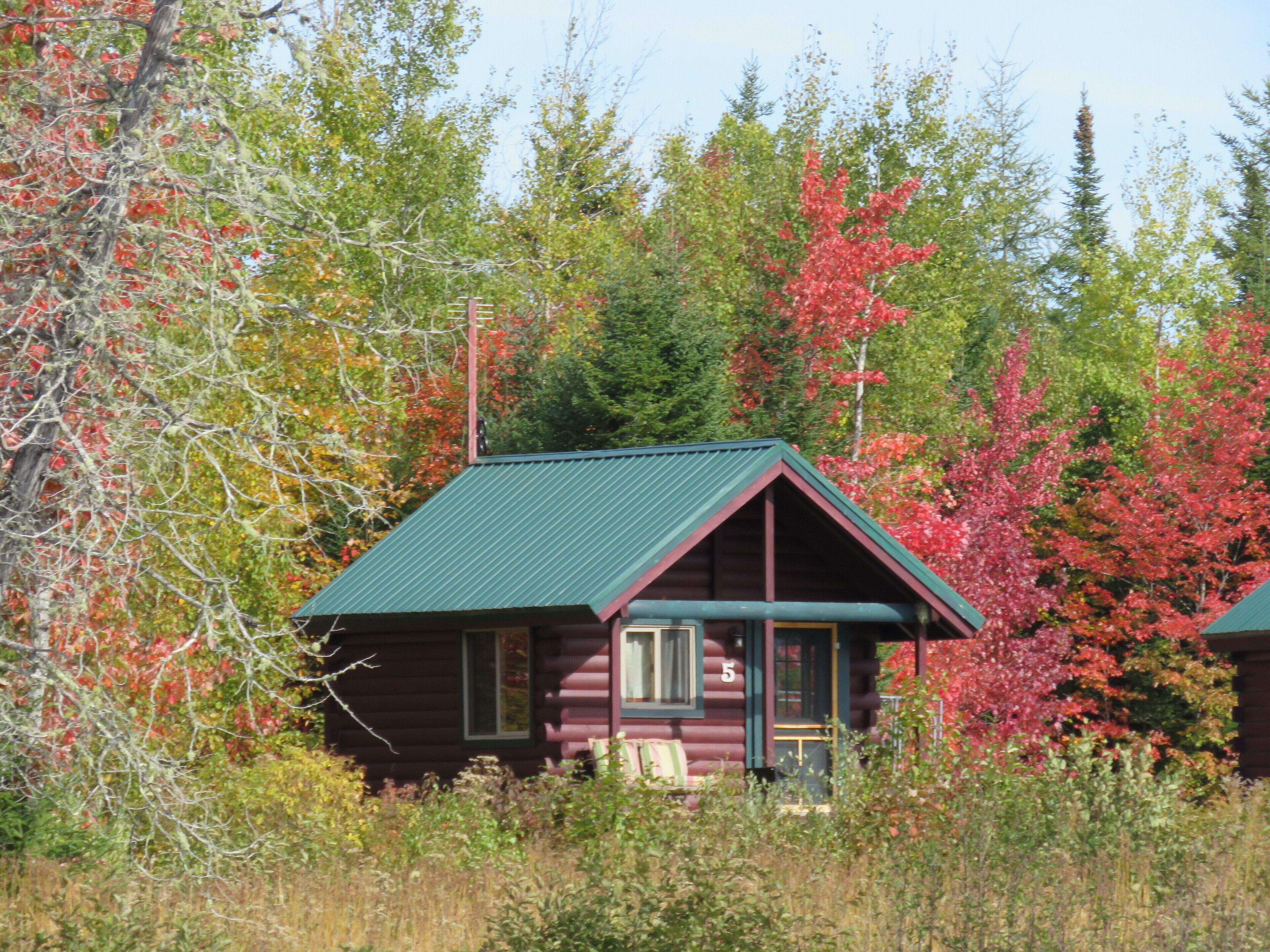 COZY CABIN WITH POND VIEW