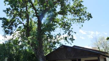 Un árbol con una casa parcialmente visible detrás.