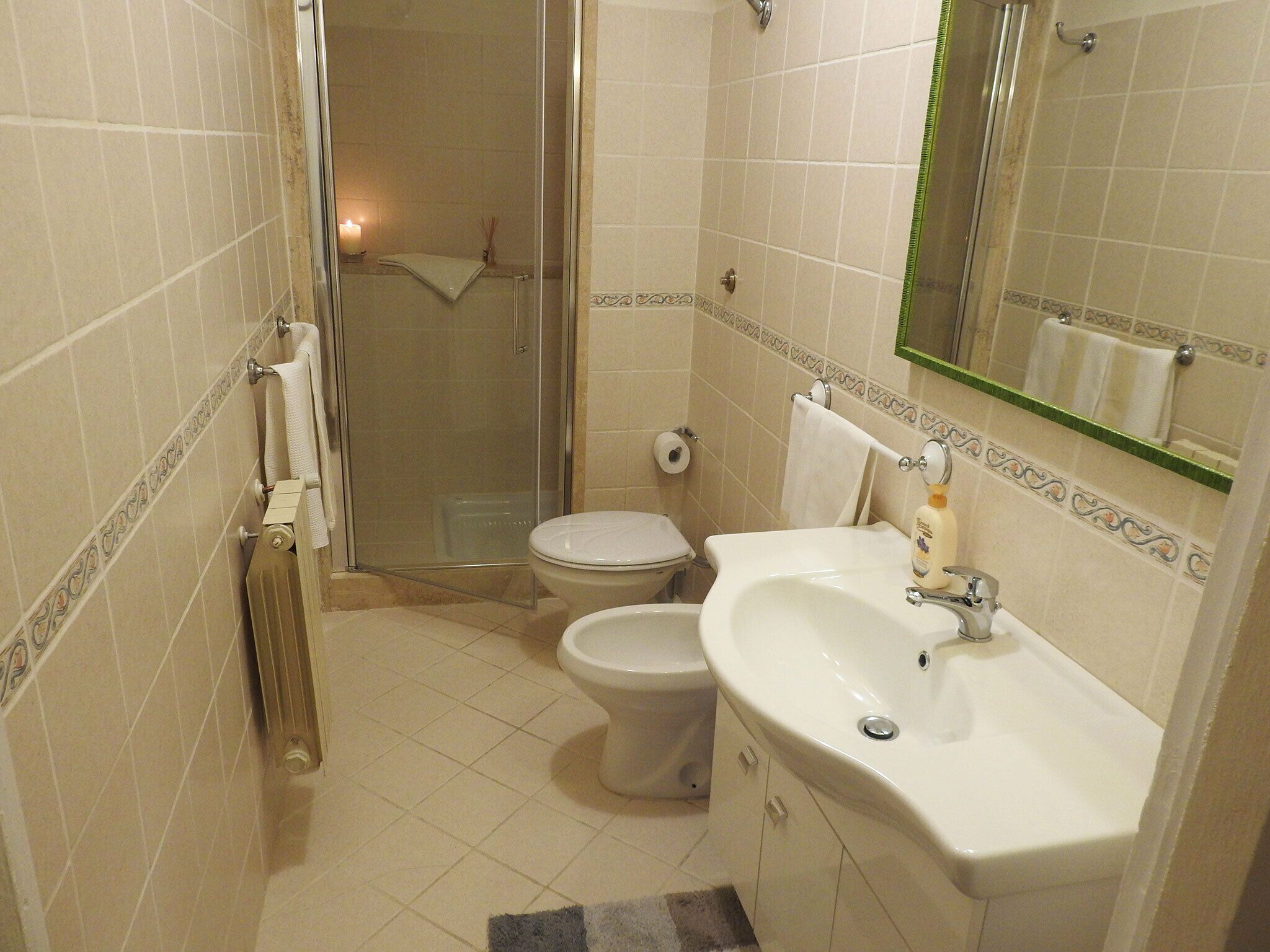 Nice apartment in the historic center