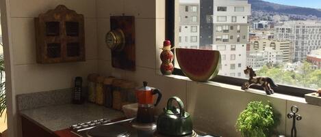 Fridge, microwave, stovetop, coffee/tea maker