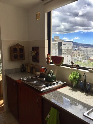 A kitchen with a stove, a window with a view of buildings, a plant, and kitchen utensils. - Beautiful, safe, centrally located; add private driver with car for $40per day (Quito)