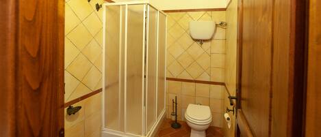 A bathroom with a shower enclosure, toilet, and bidet.