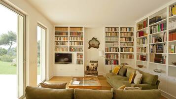 TV, lareira, DVD player, livros