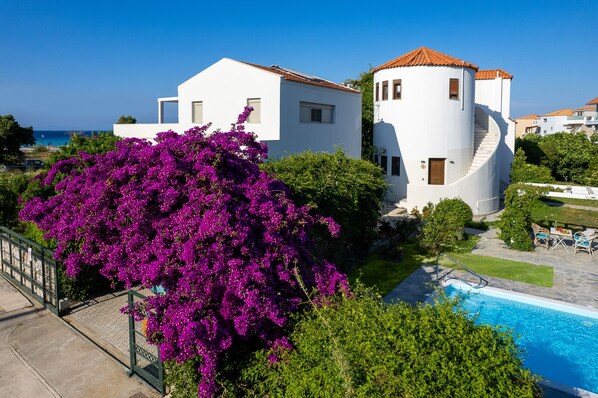 A modern villa with a pool, surrounded by lush greenery and vibrant purple bougainvillea flowers. - Cosy studio ARMONIA for 2 persons with great sea views in Rhodes-Ialysos (Ialisos)