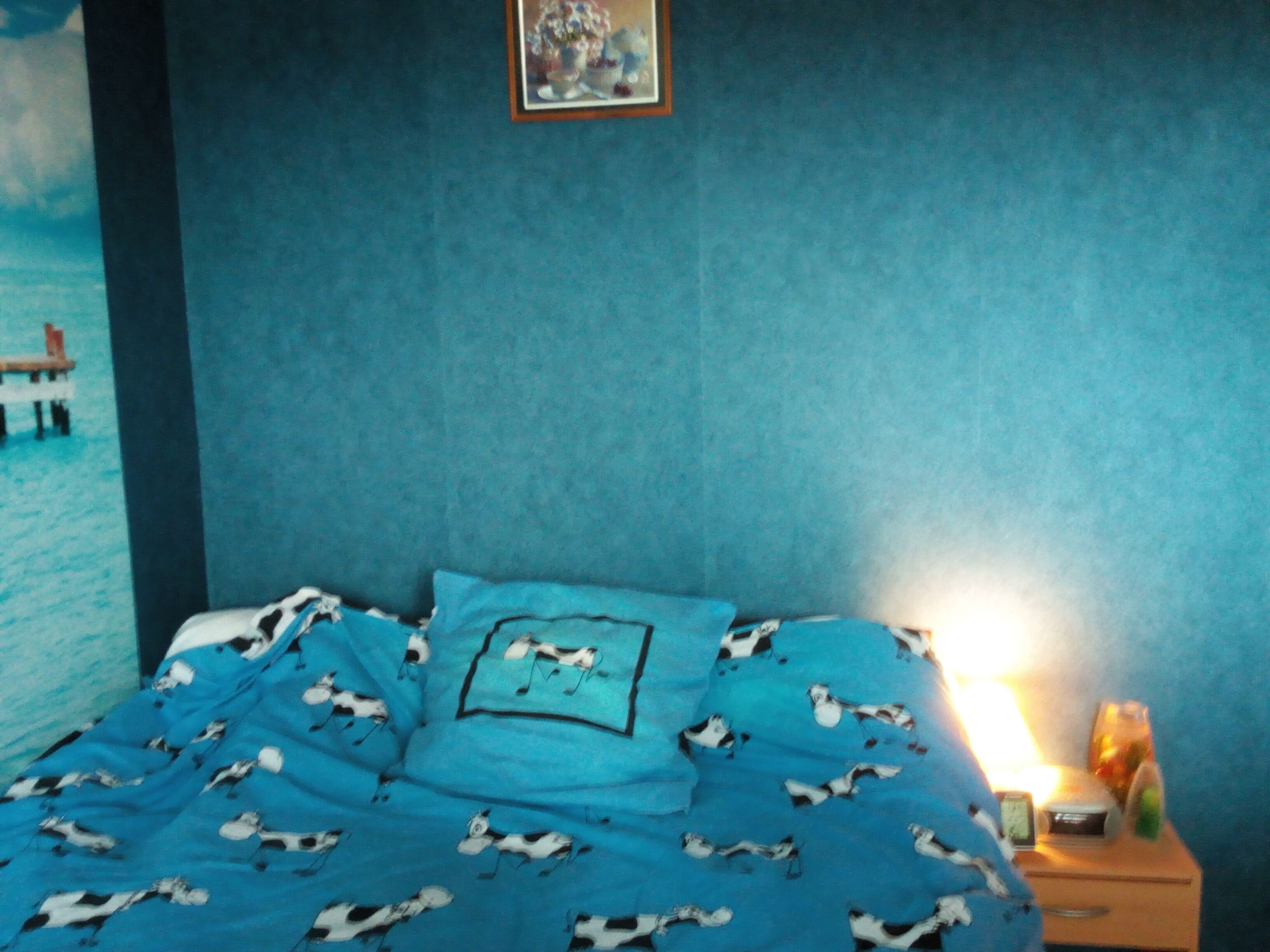 Comfortable room with wifi, fan, additional heating