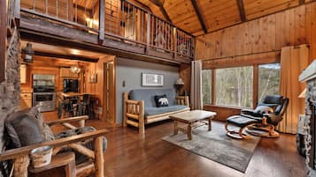 Télévision, cheminée, lecteur de DVD, livres