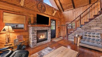 TV, fireplace, DVD player, books