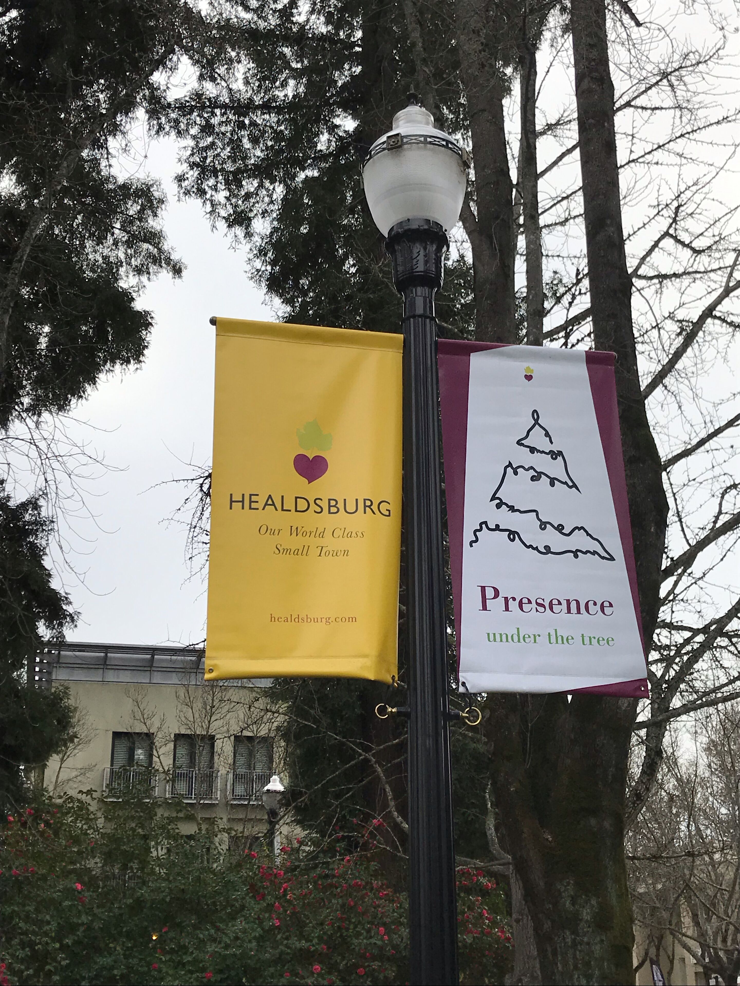 Two banners on a street lamp, one yellow with 'Healdsburg Our World Class Small Town' and another white with 'Presence under the tree'.
