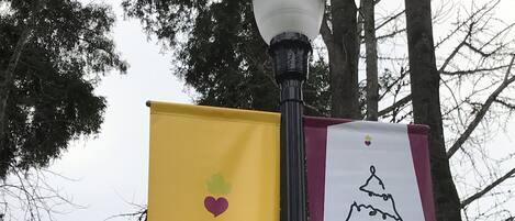 Two banners on a street lamp, one yellow with 'Healdsburg Our World Class Small Town' and another white with 'Presence under the tree'.