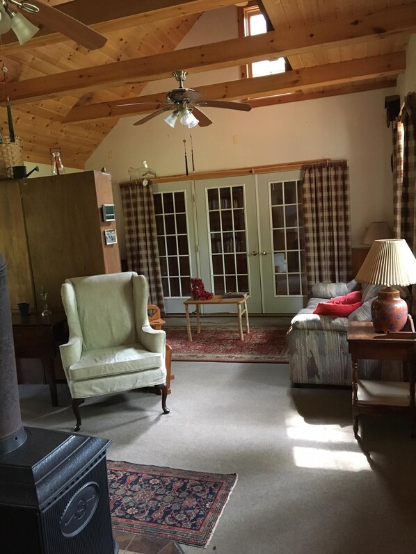 Fireplace, DVD player, books, video library