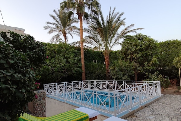 Een buitenzwembad, ligstoelen bij het zwembad