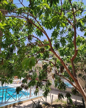 Jardín. Villa Rayan