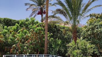 Piscina externa, espreguiçadeiras