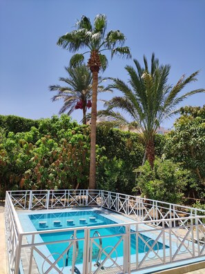 Outdoor pool, sun loungers - Villa Rayan (Hurghada)