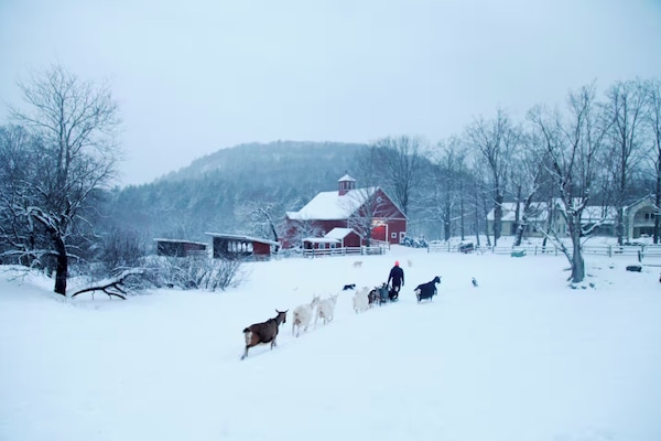 Wintersport/Ski
