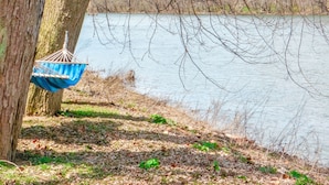 A hammock hanging from a tree by a lake. - ❤️ Secluded 1940s Romantic Tiny House on the River (Shepherdstown)