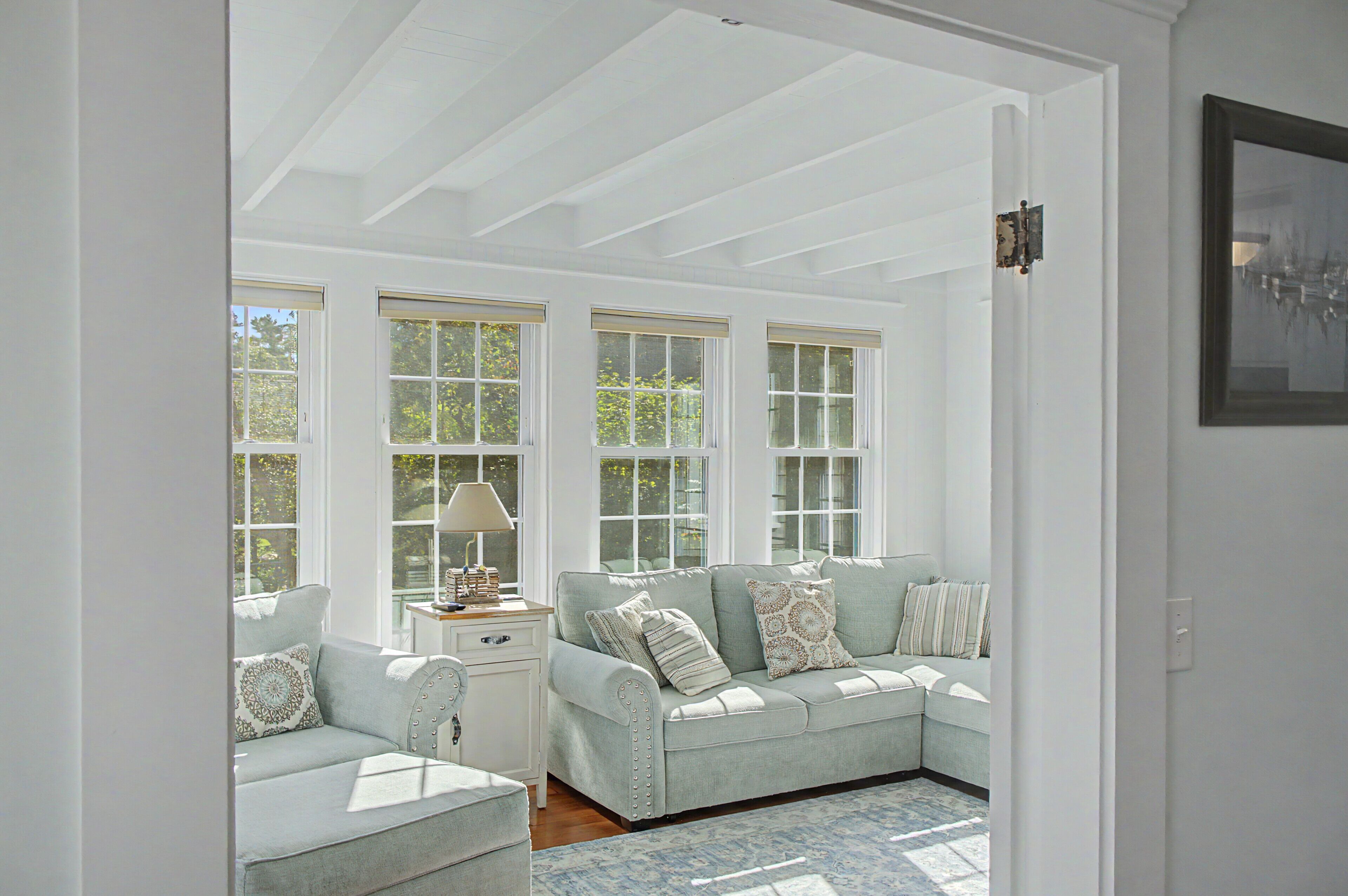 Smart TV, fireplace, video games, DVD player