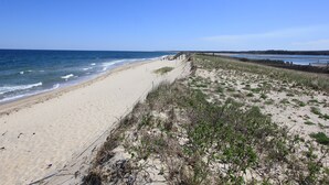 A beach with a sandy shore and a boardwalk extending into the distance. - 321 Williston Rd (Bourne)