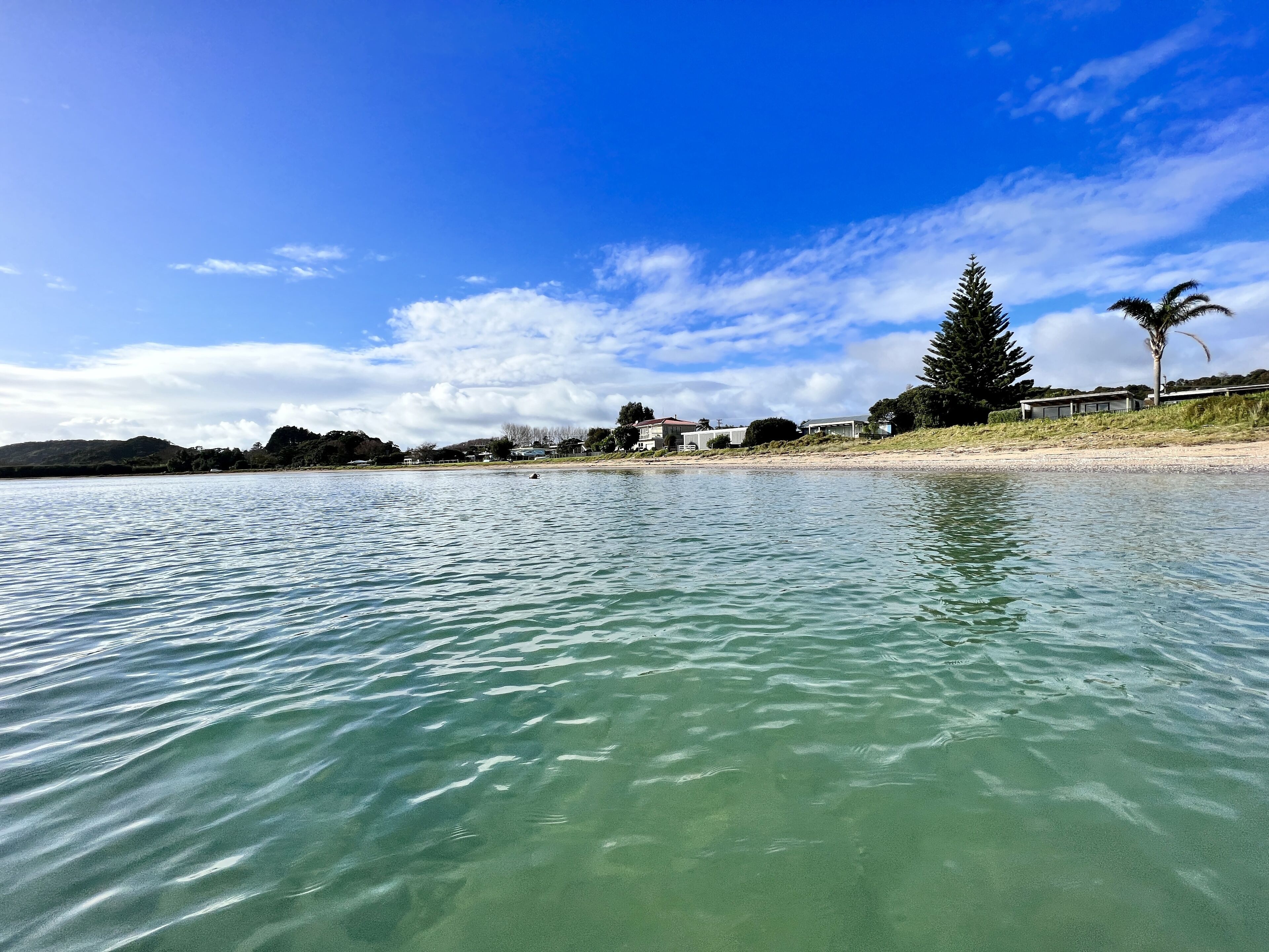 Plage, chaises longues