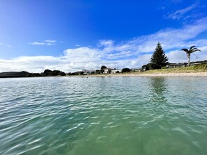 Uma praia com águas cristalinas, algumas casas e uma grande árvore.
