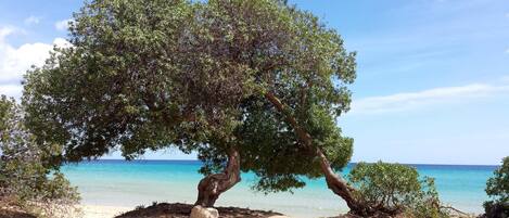 Plage à proximité, chaise longue