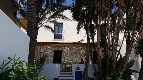 A white building with a blue window and a door, surrounded by palm trees and plants. - Stromboli, At Nino's House (Stromboli)