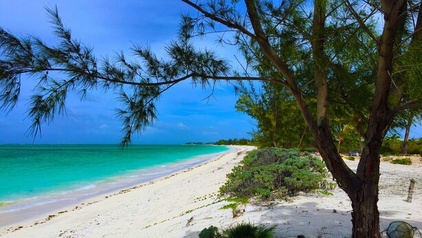 Una playa de arena blanca y agua turquesa cristalina.