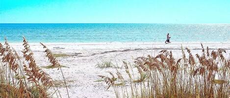 On the beach, sun-loungers, beach towels