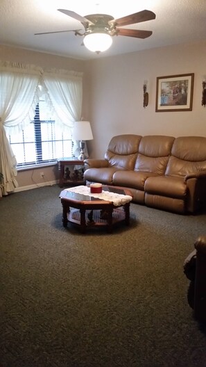 تلفزيون ذكي، مدفأة، ستيريو