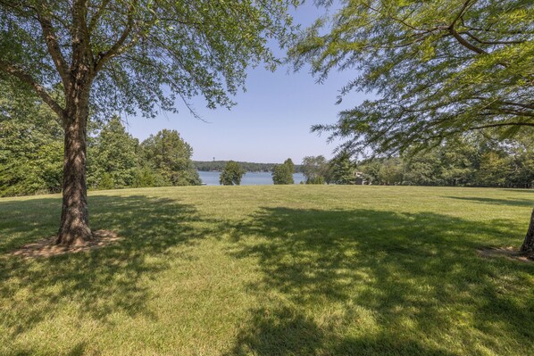 Un champ verdoyant avec un grand arbre et un lac en arrière-plan.