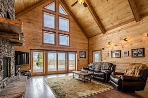 TV, fireplace, DVD player, books