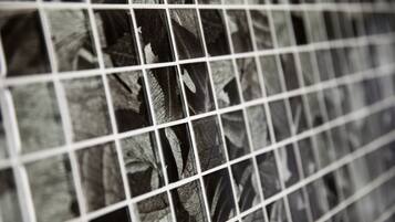 A close-up of a window with a grid pattern, possibly a window blind or screen.