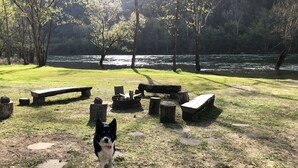 A dog in a park with benches and a fire pit.