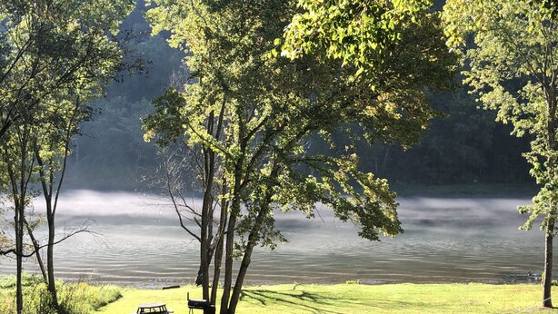 A serene lakeside setting with a picnic table and benches under trees, surrounded by lush greenery and a misty lake.