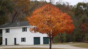 A white building with a green garage door, surrounded by trees with autumn foliage.