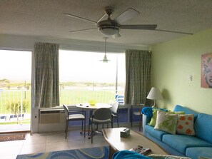 Flat-screen TV, DVD player, ping pong, books