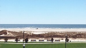 A coastal landscape with a beach, a grassy area, and a row of street lamps.
